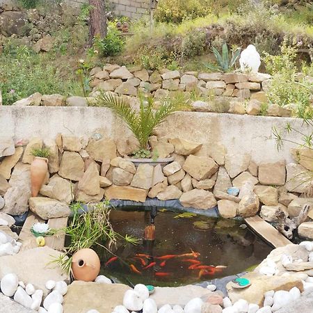 La Villa Du Menhir Gite บิซ-มิเนอวัว ภายนอก รูปภาพ