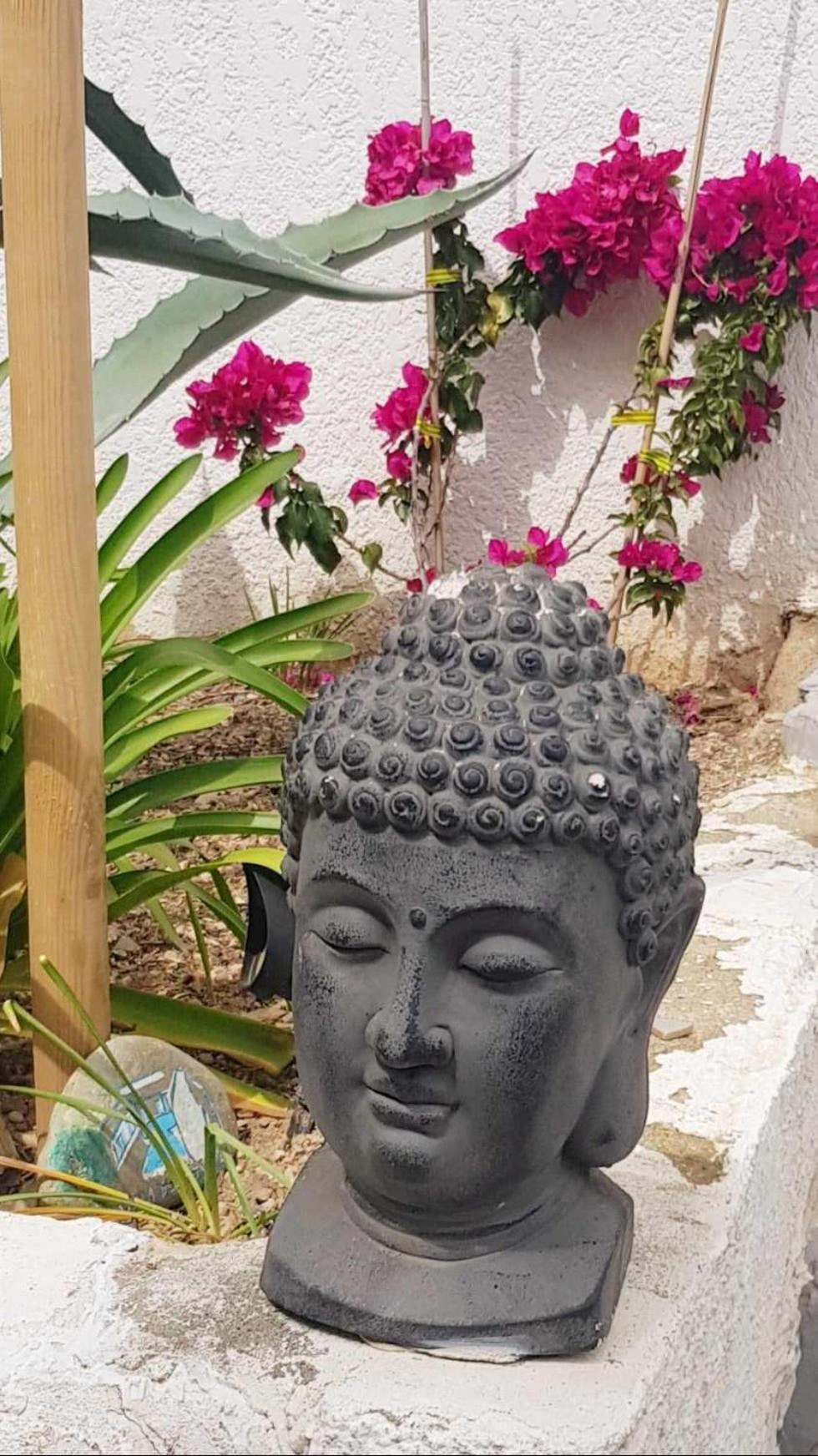 La Villa Du Menhir Gite บิซ-มิเนอวัว ภายนอก รูปภาพ